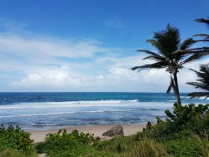 Bathsheba Beach Barbados: Island Tour of Barbados