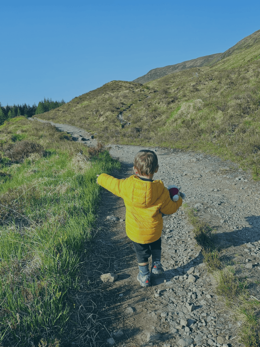 Hiking + Camping