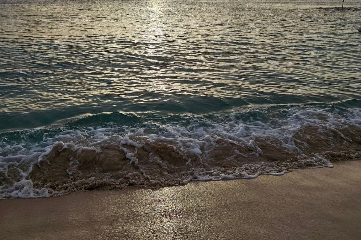 Barbados 7-Day Itinerary: The Perfect Week