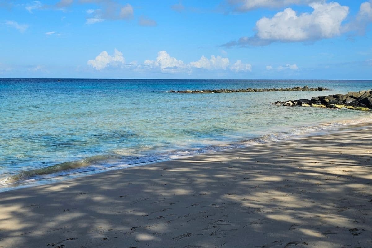 The Best Beaches in Barbados