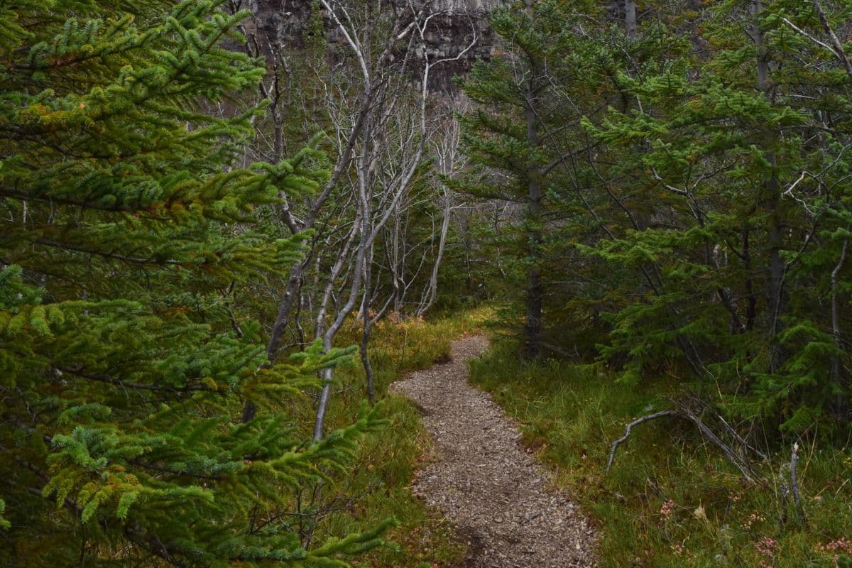 The Best and Most Beautiful Hikes in Iceland