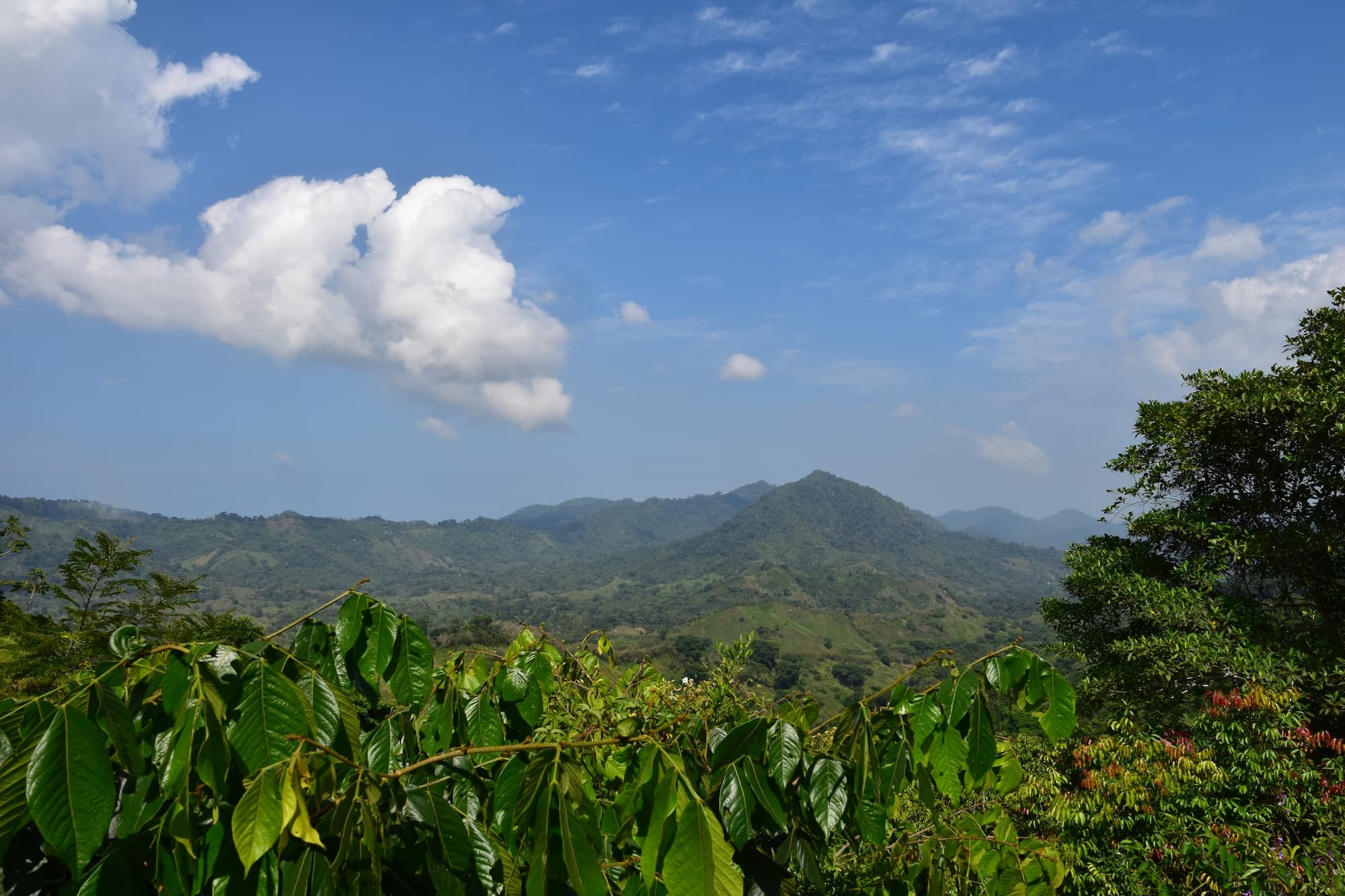 Colombia's Lost City: Hiking to Ciudad Perdida