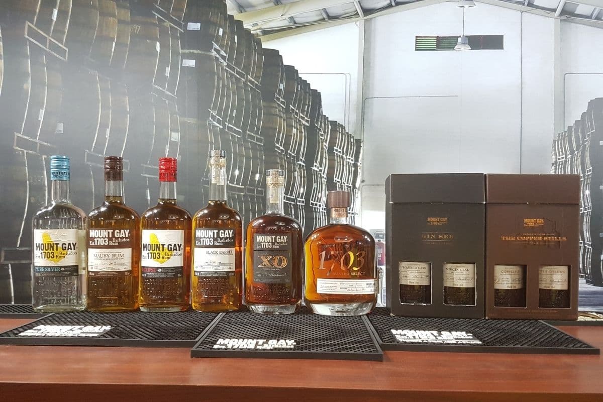 Mount Gay Rum Tour: Barbados Must Do