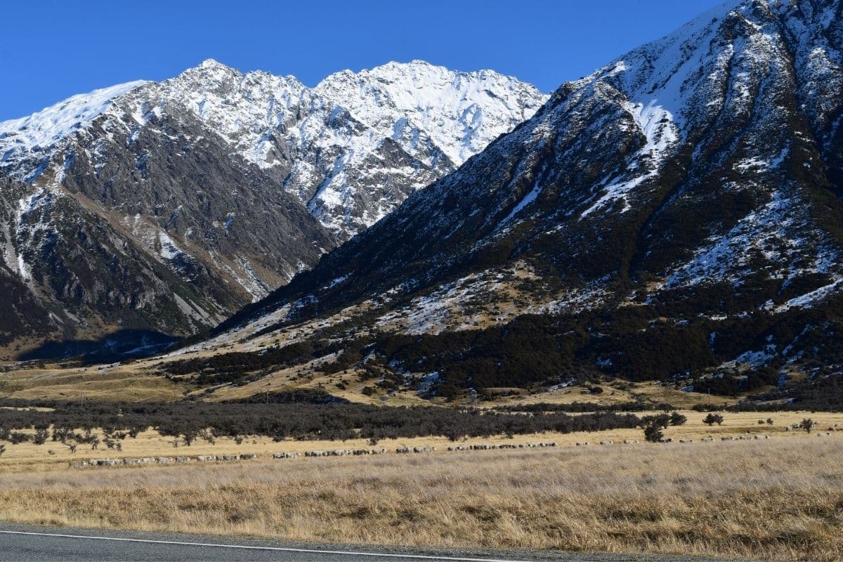 New Zealand Freedom Camping Guide
