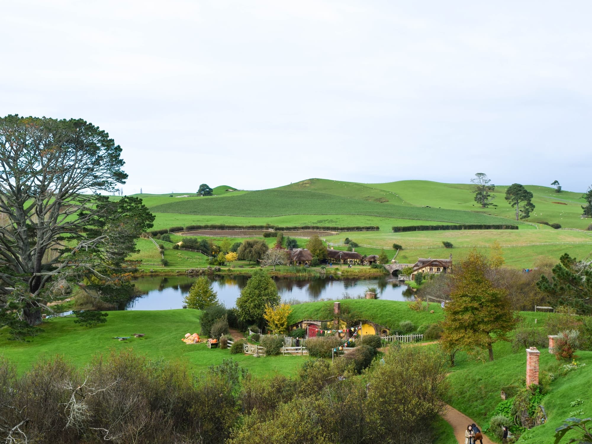 Visiting Hobbiton: The Complete Guide to the Movie Set