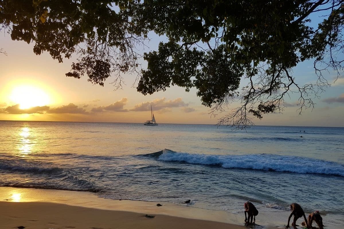 Self Drive Island Tour of Barbados by a Local