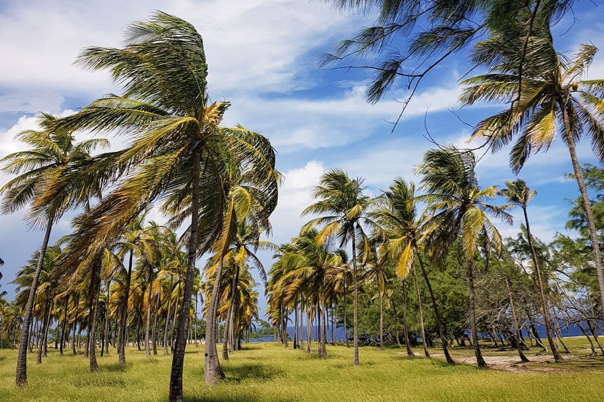 The Ultimate Barbados Travel Guide