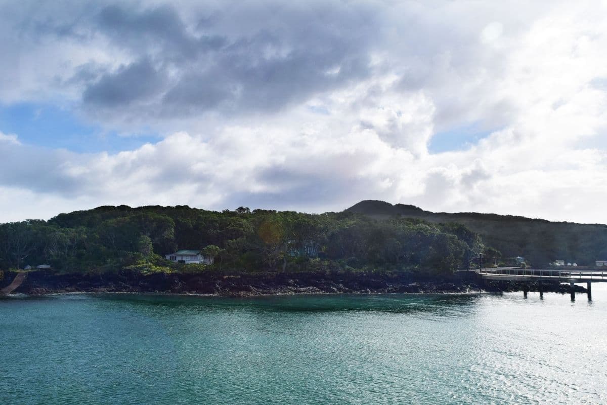 20 Things to Do in Auckland, New Zealand