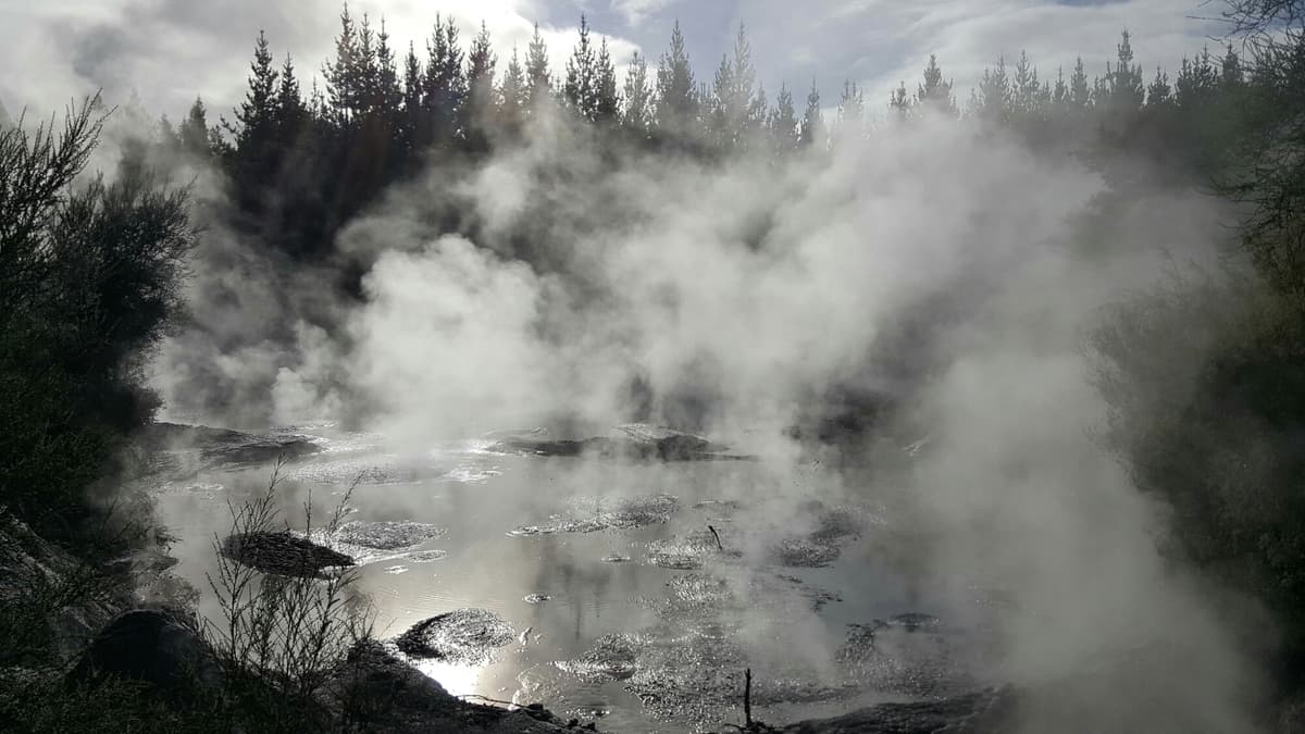Rotorua: From Wai-O-Tapu to Tamaki Village