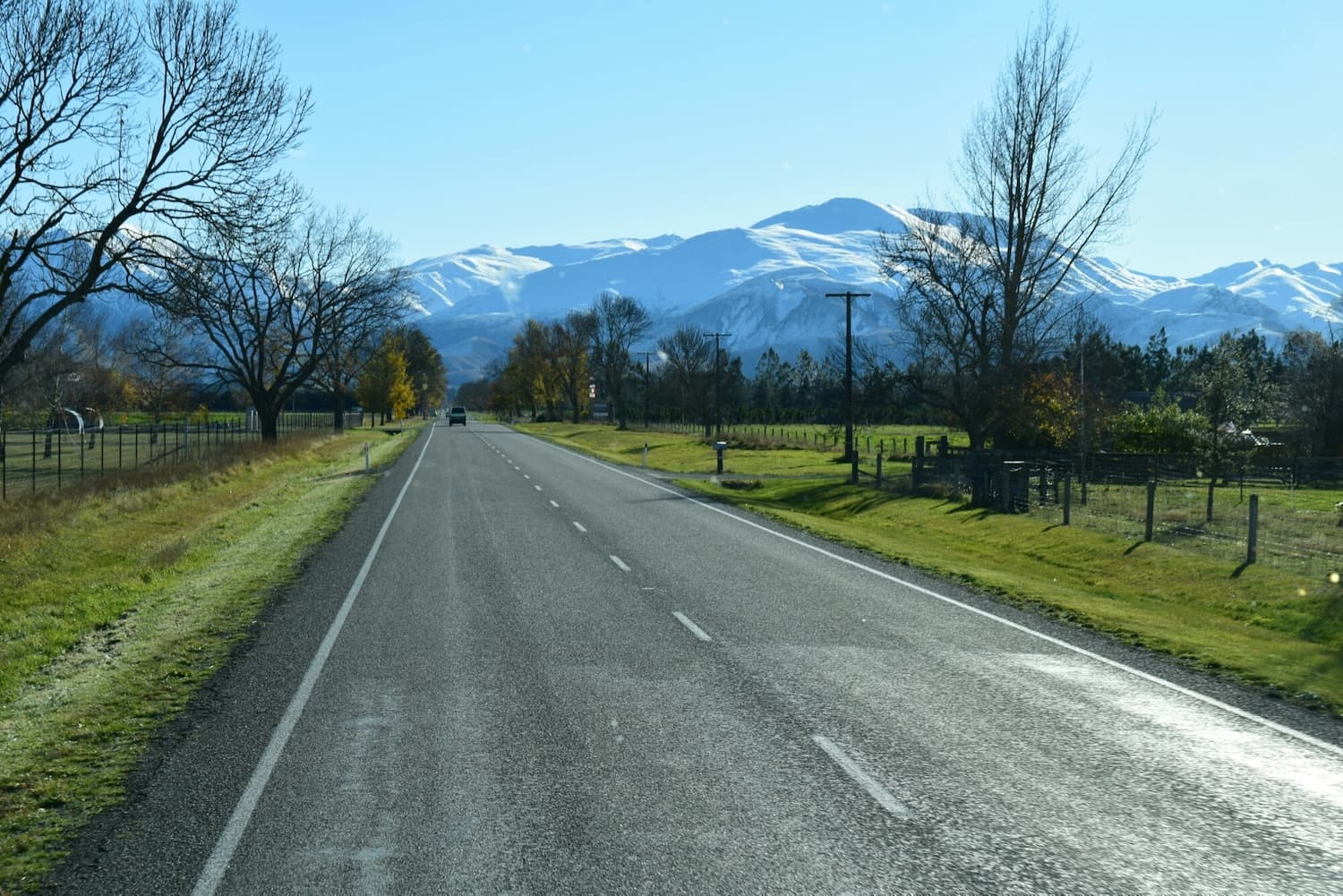 New Zealand South Island Road Trip: Mount Cook to the Catlins