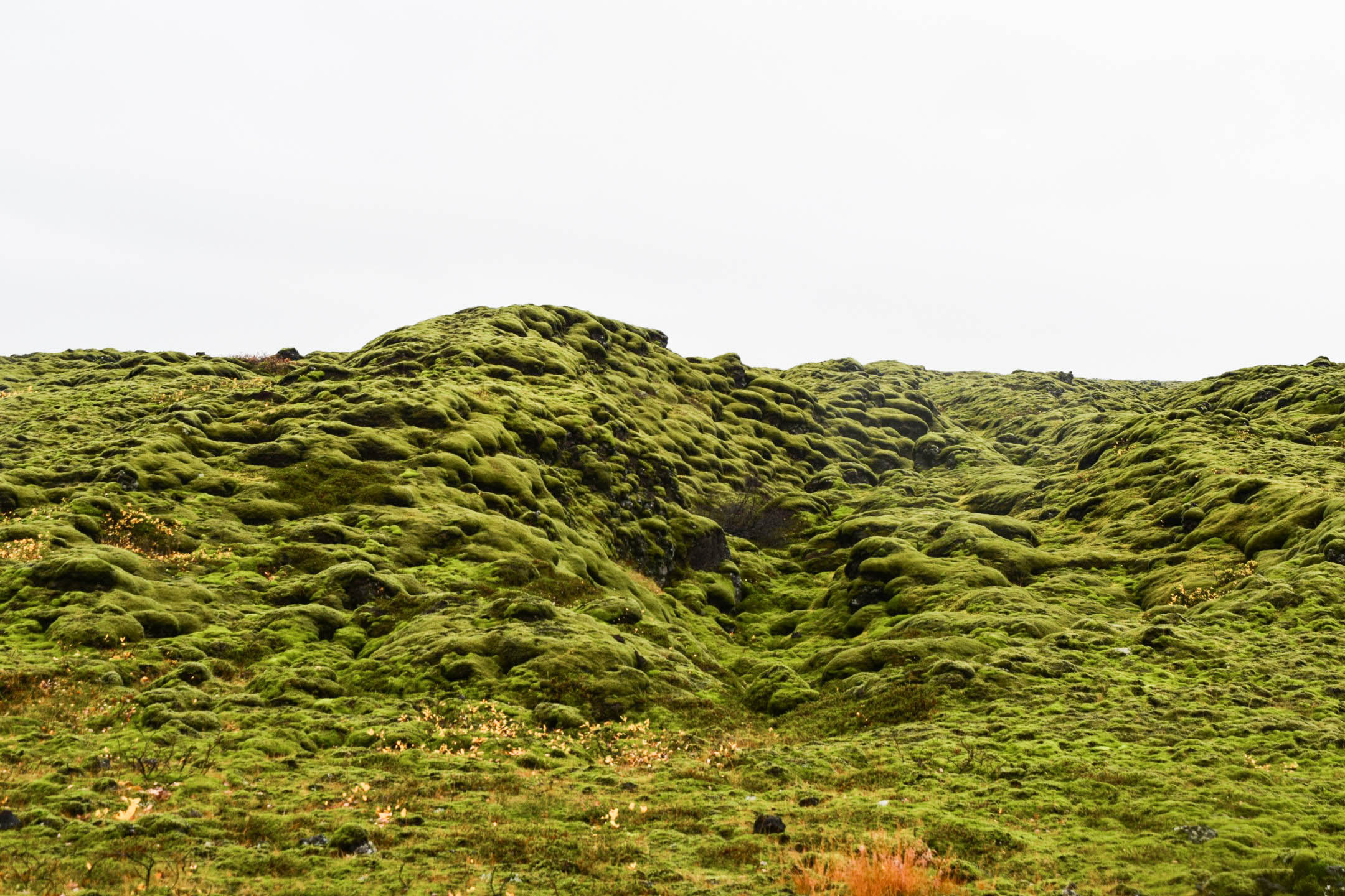 Views from inside Skaftafell National Park