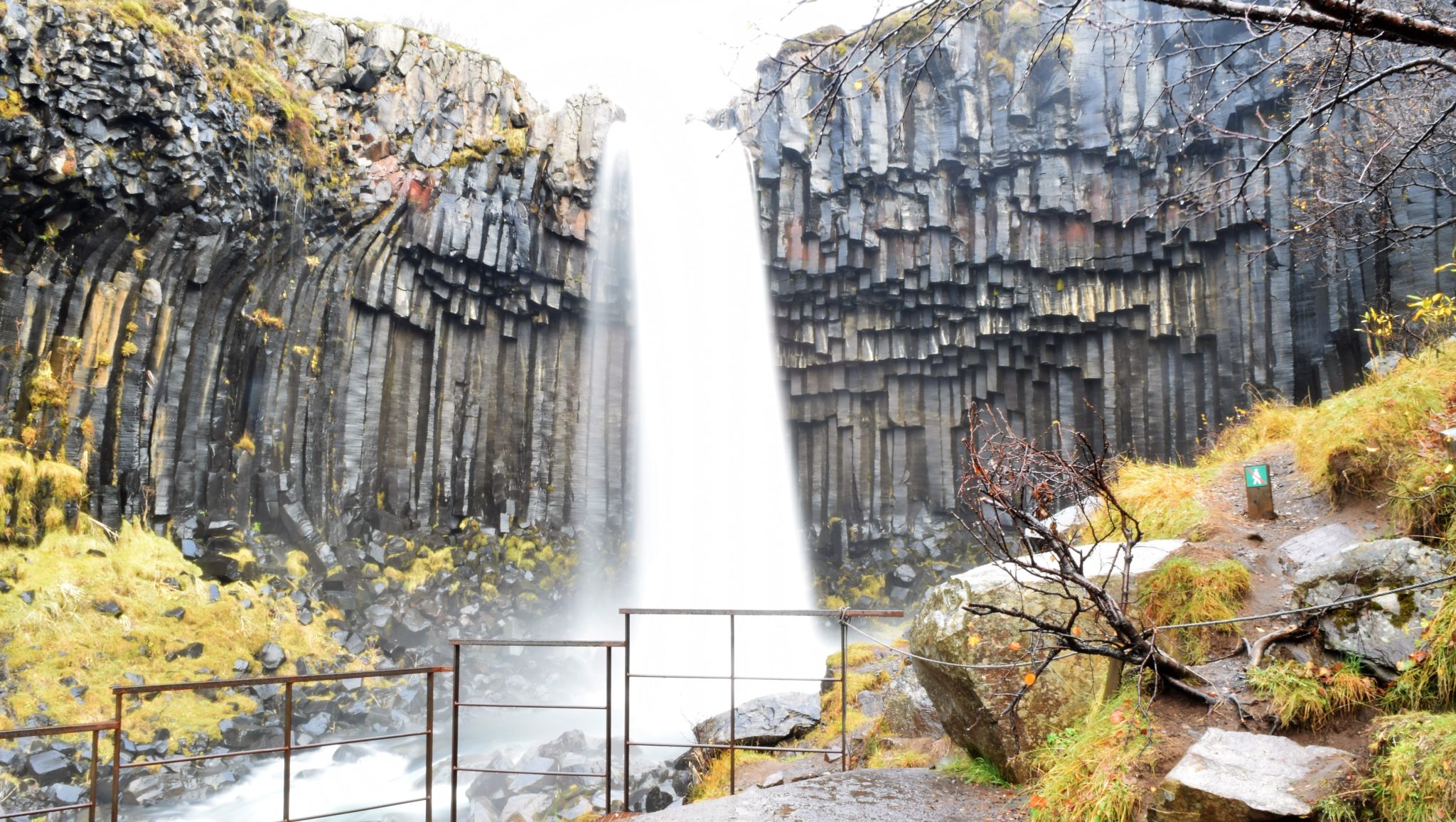 Svartifoss at Skaftafell — well worth the hike