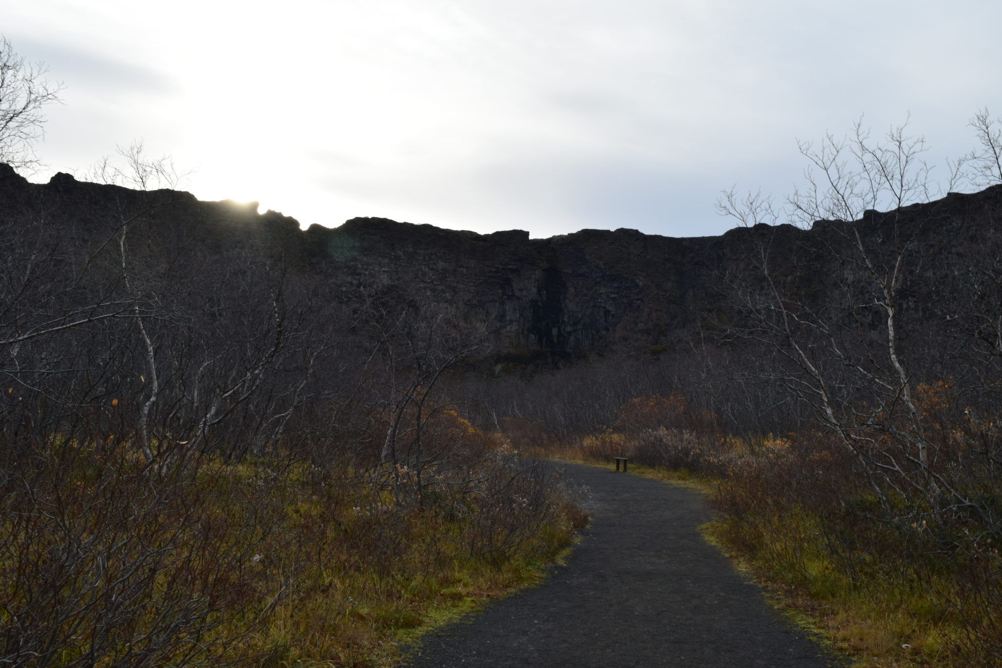 Walking through Ásbyrgi Canyon