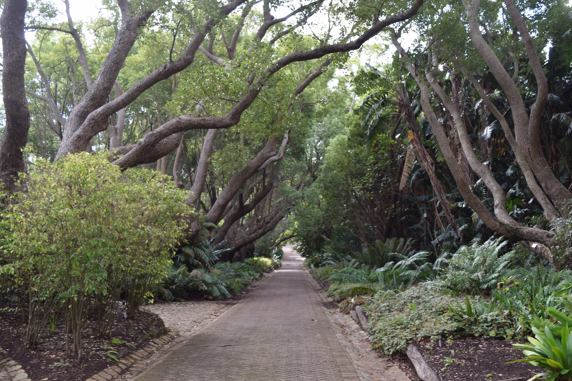 Entrance to Kirstenbosch Gardens