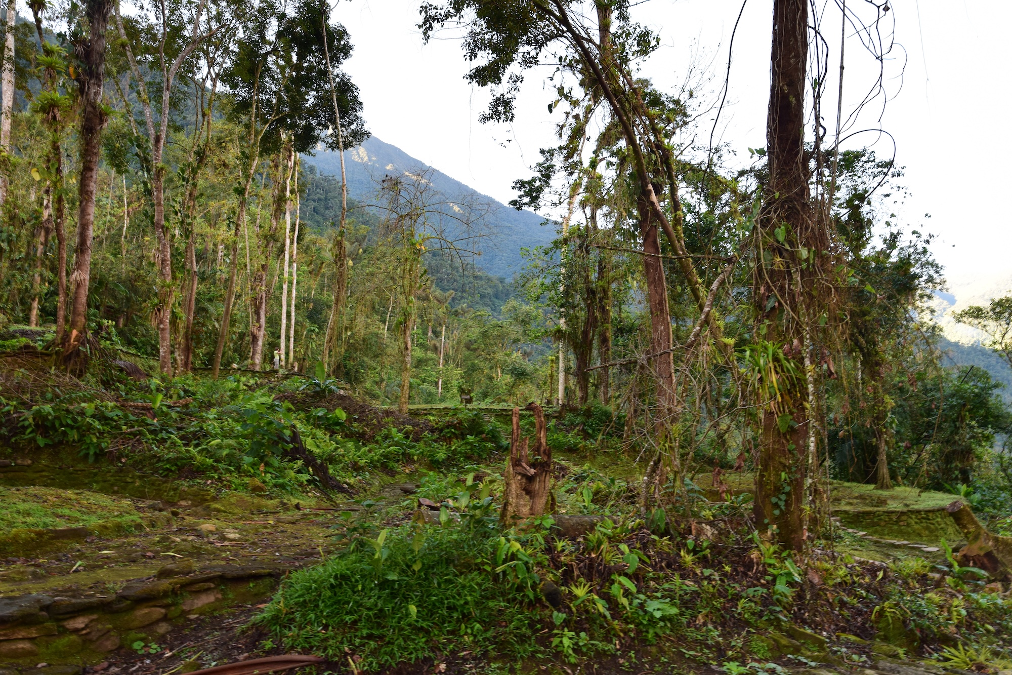 The Lost City still hidden away in the jungle