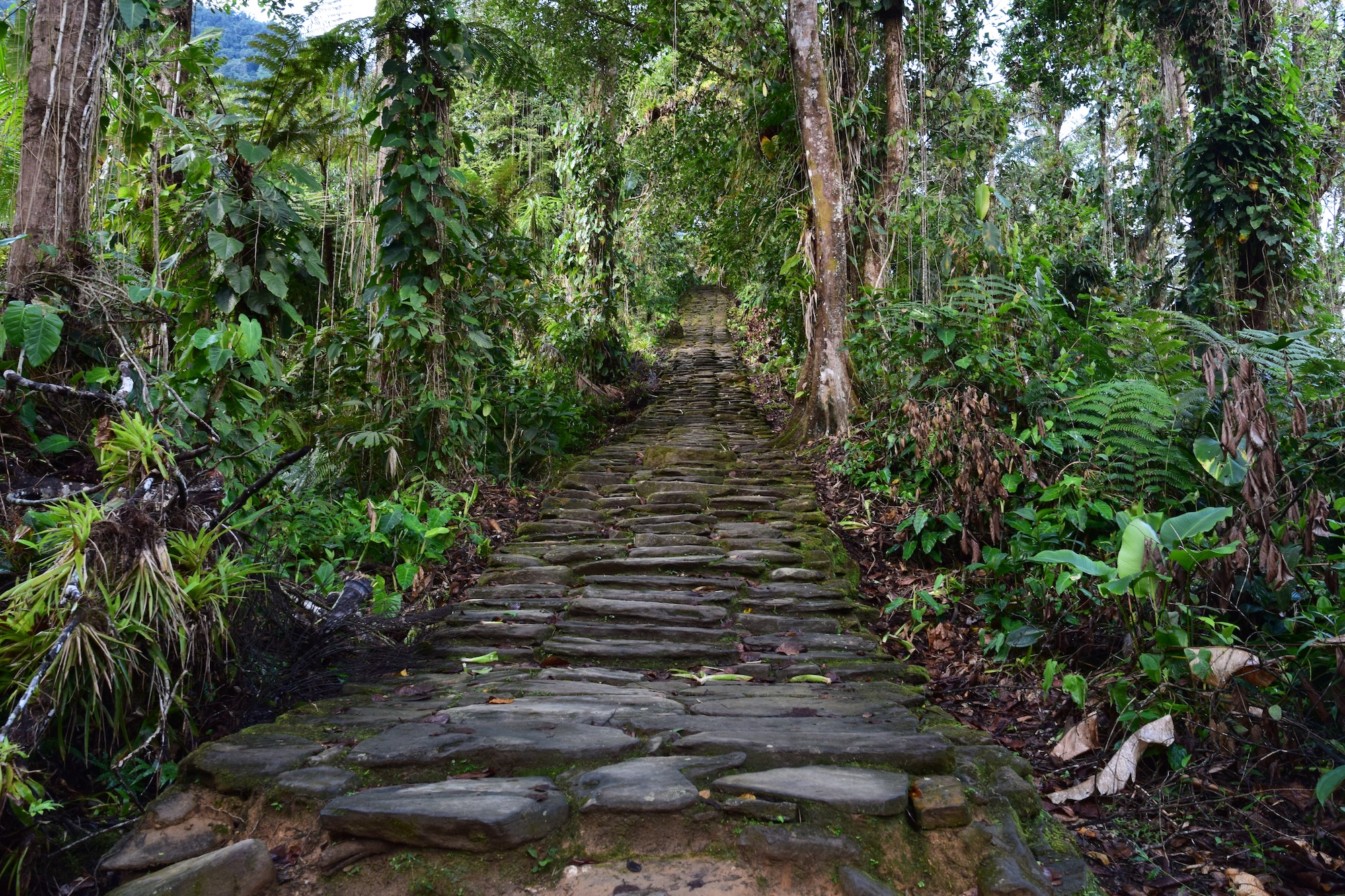 The stairs to the ceremonial terraces of the Lost City
