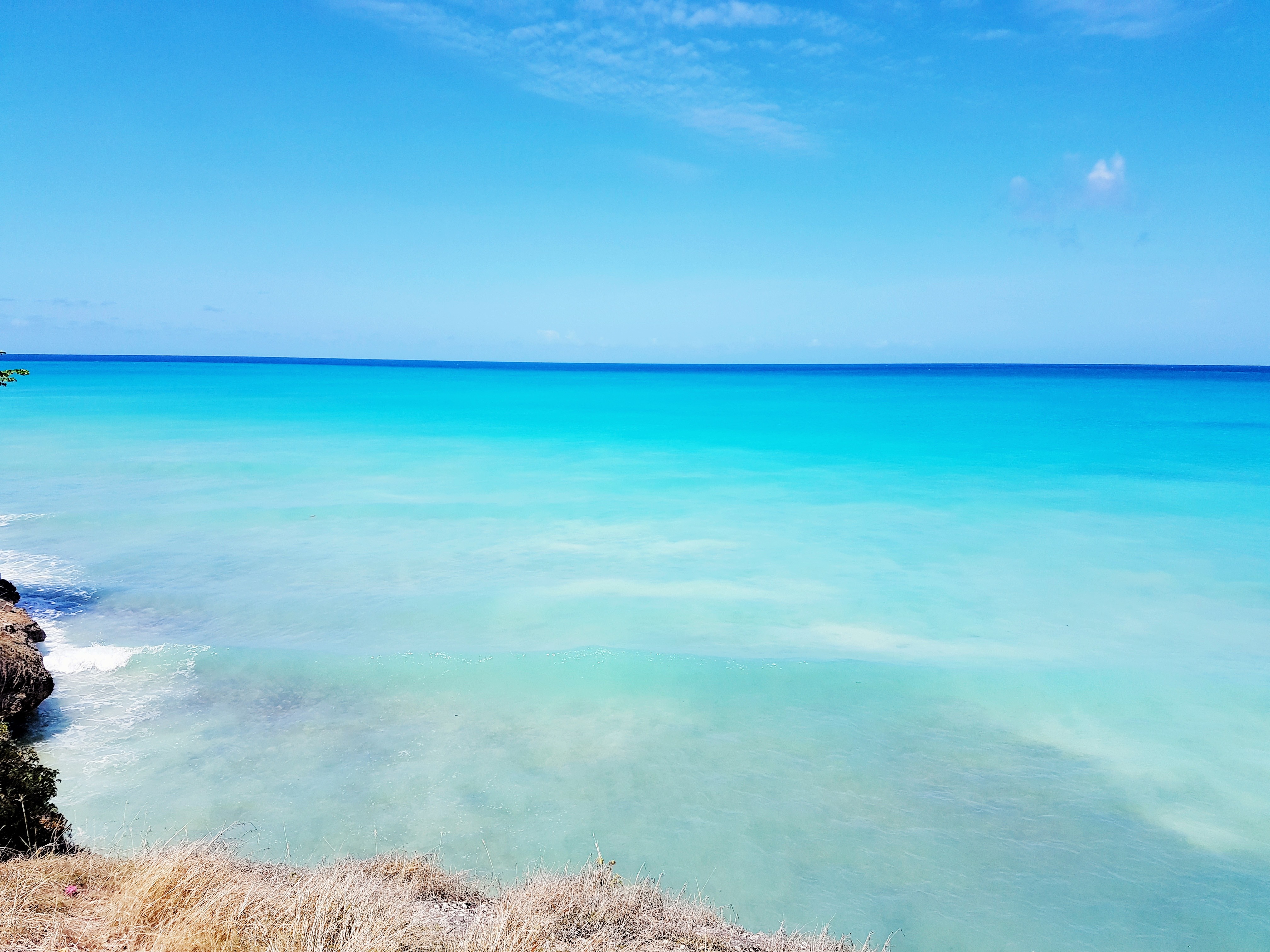 Sea turtle spotting at Freights Bay