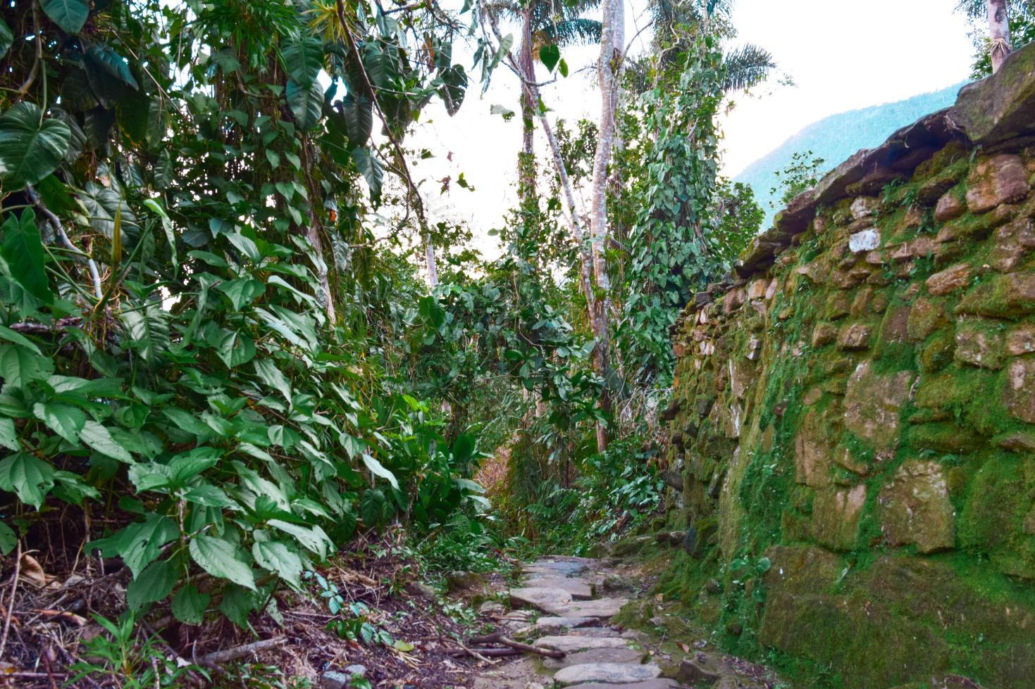 Leaving Ciudad Perdida