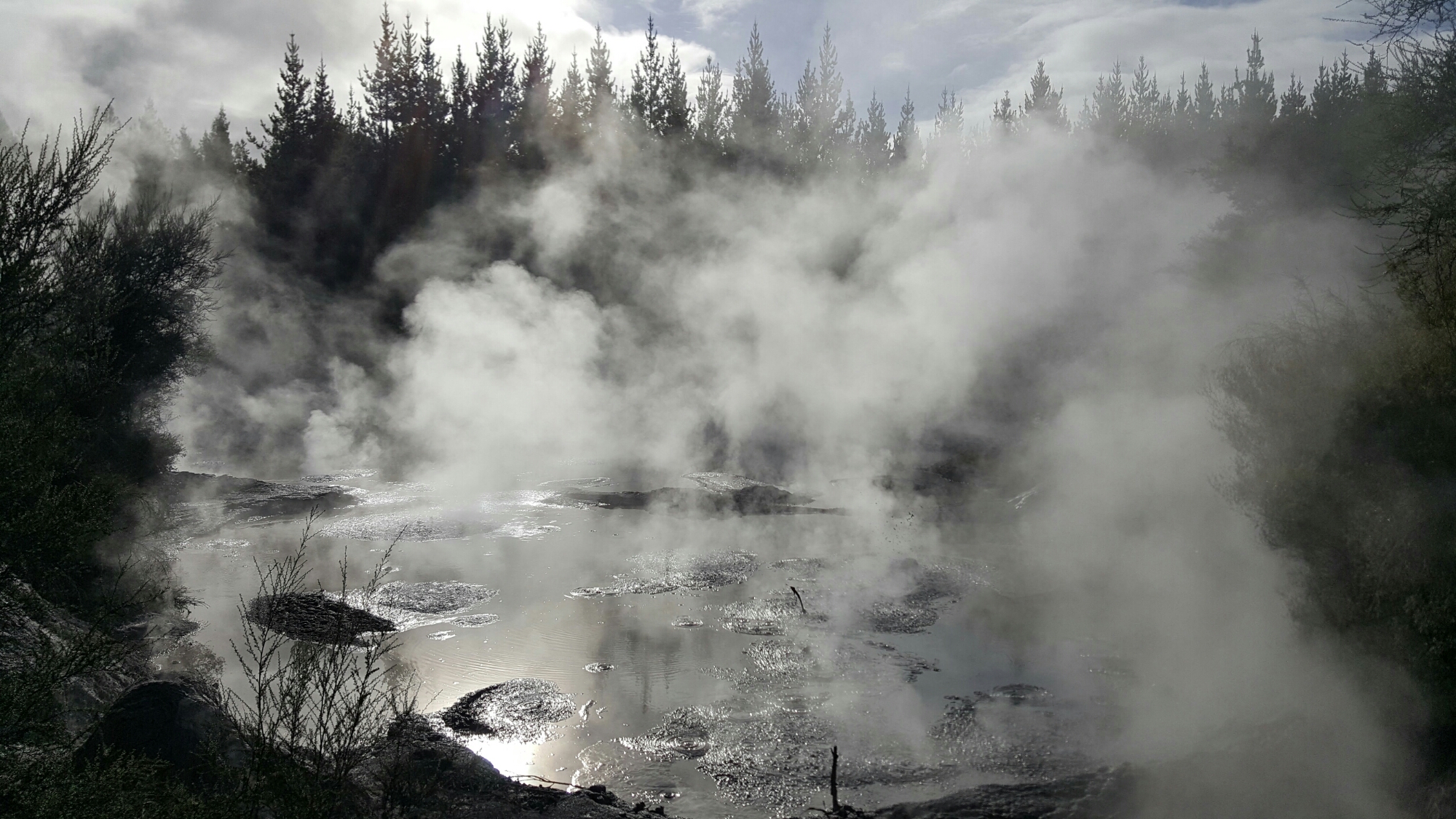 Mud pools at Wai-O-Tapu, Rotorua