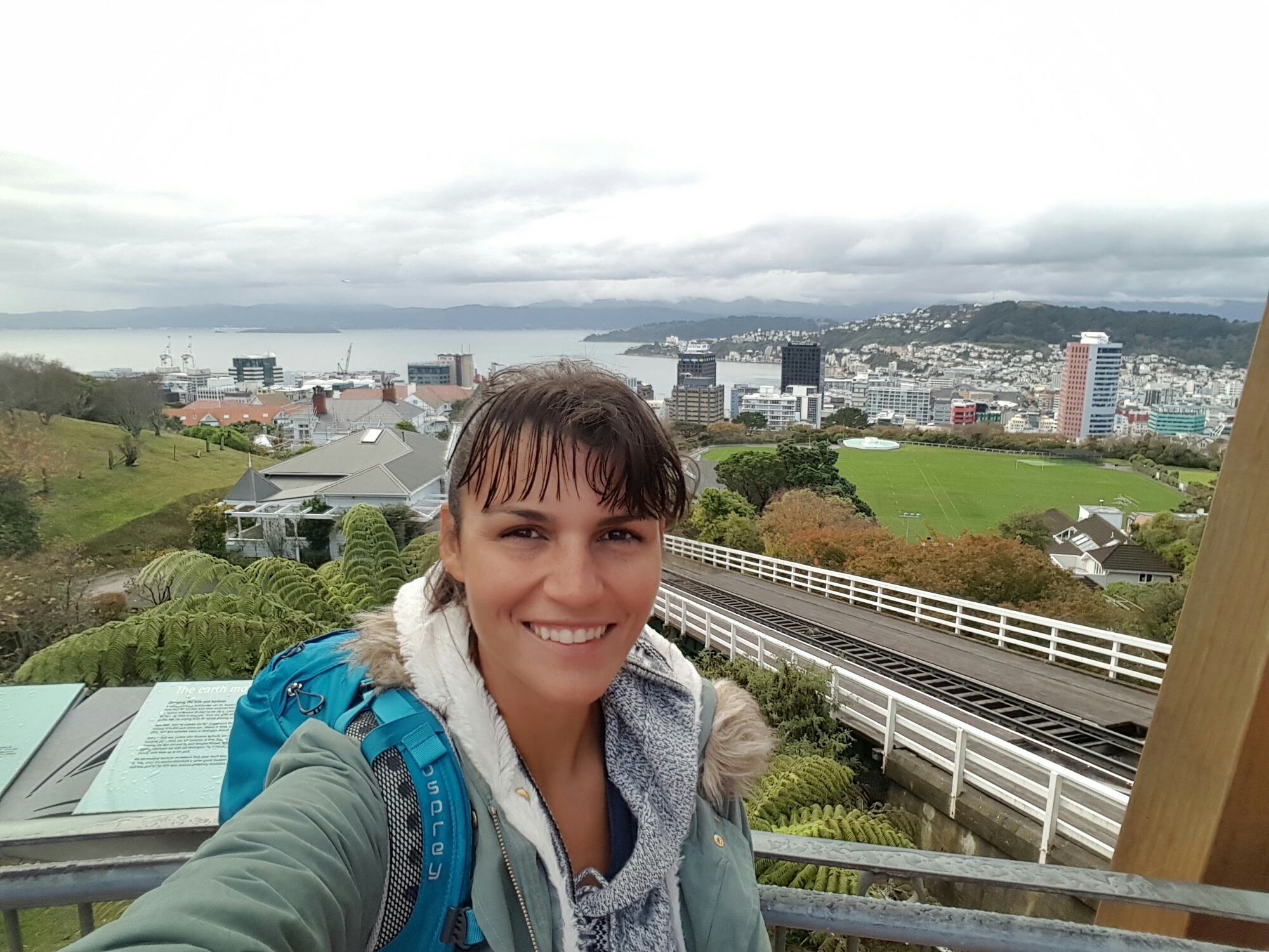 View from Wellington Cable Car