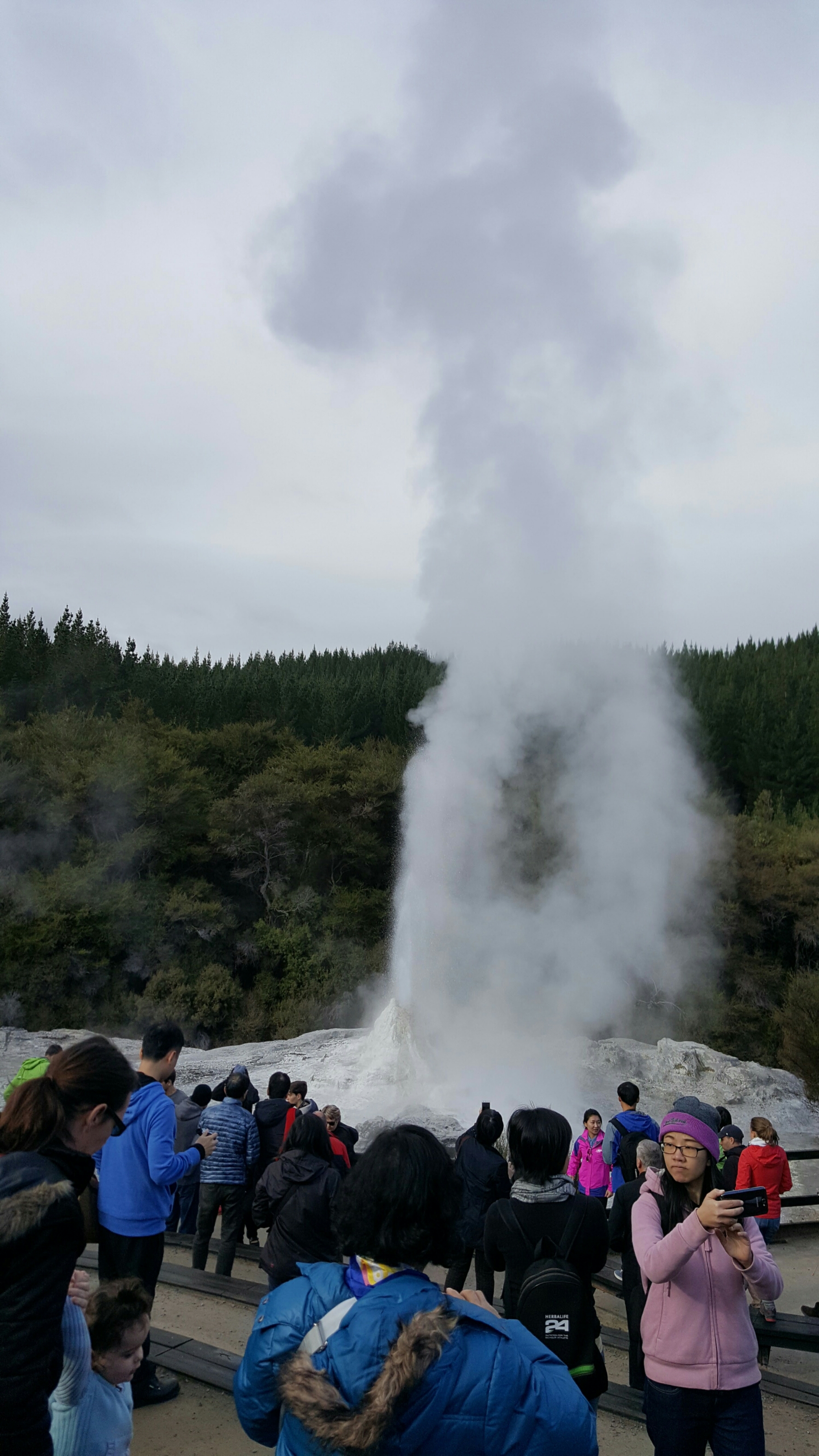 Lady Knox Geyser eruption, Rotorua