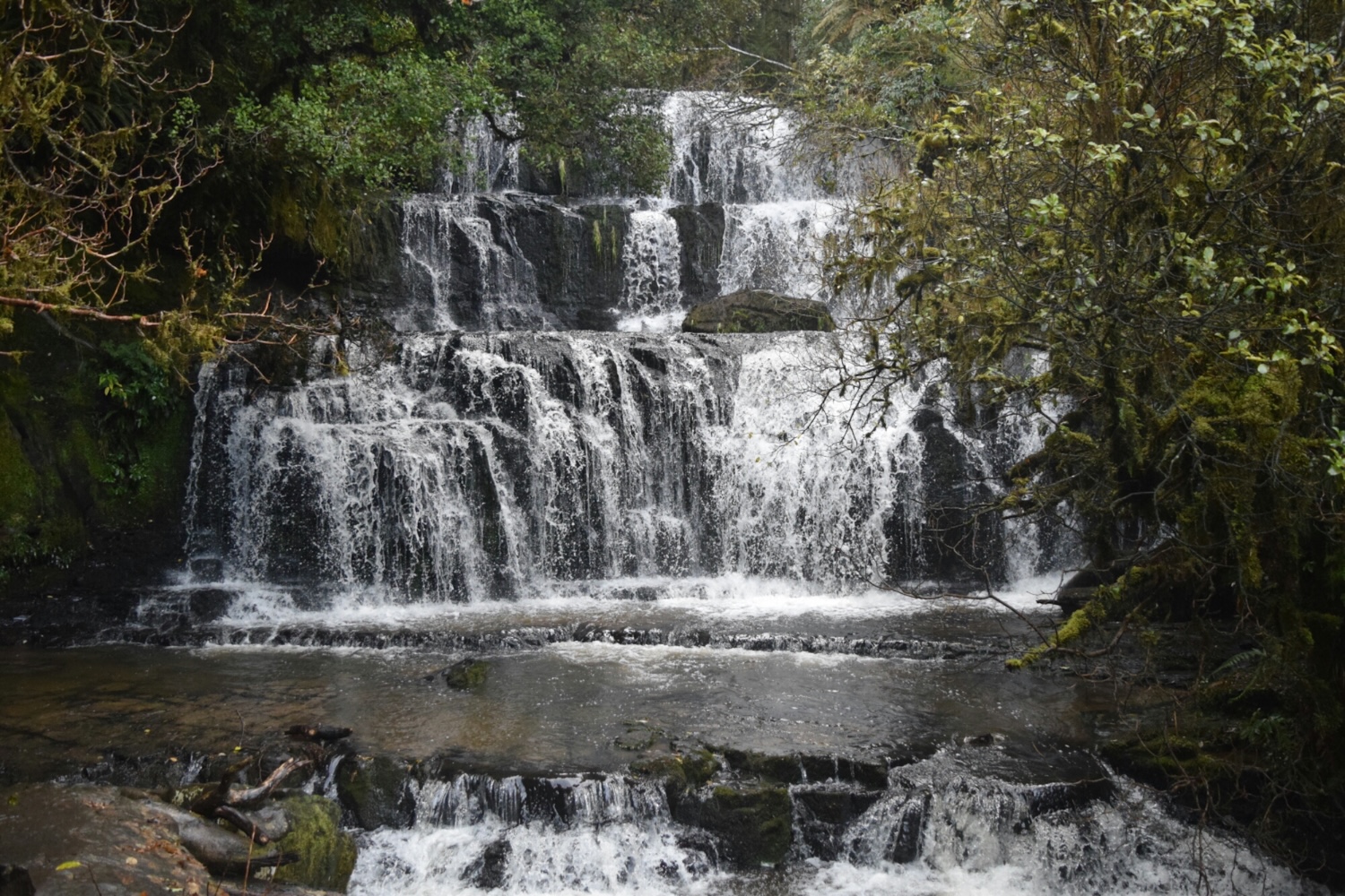 Purakaunui Falls, Catlins