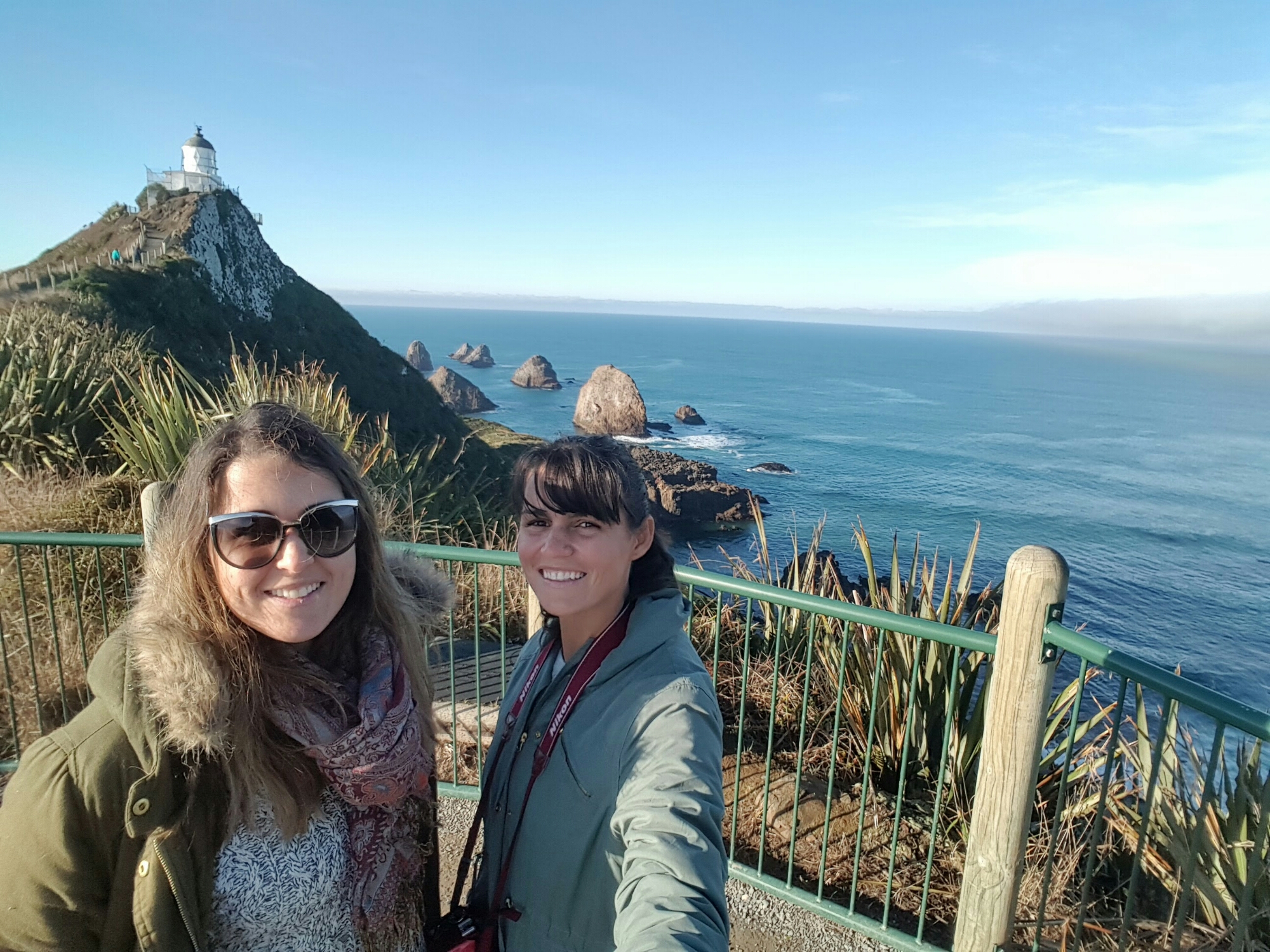 Nugget Point, Catlins