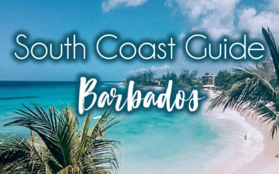 South Coast of Barbados: Local Guide