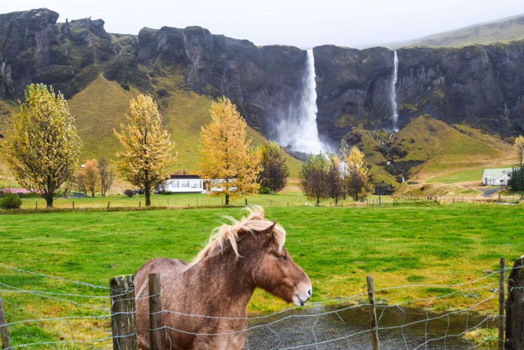 Views Along Iceland's South Coast