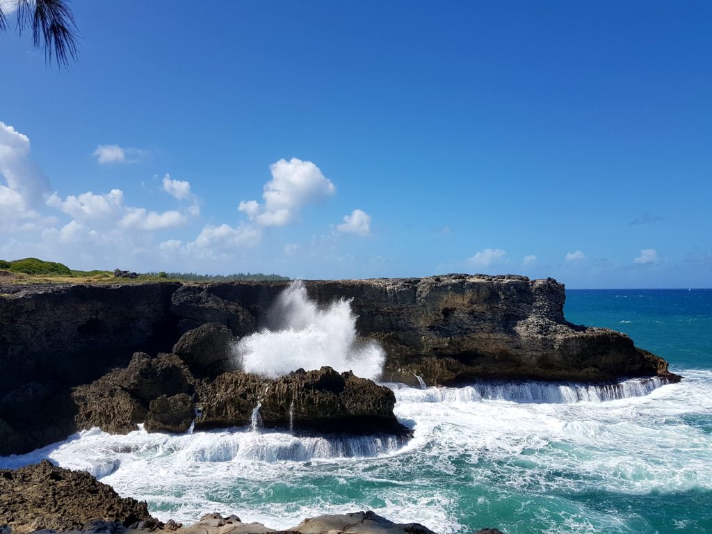 Barbados Cruise Excurions: North Point