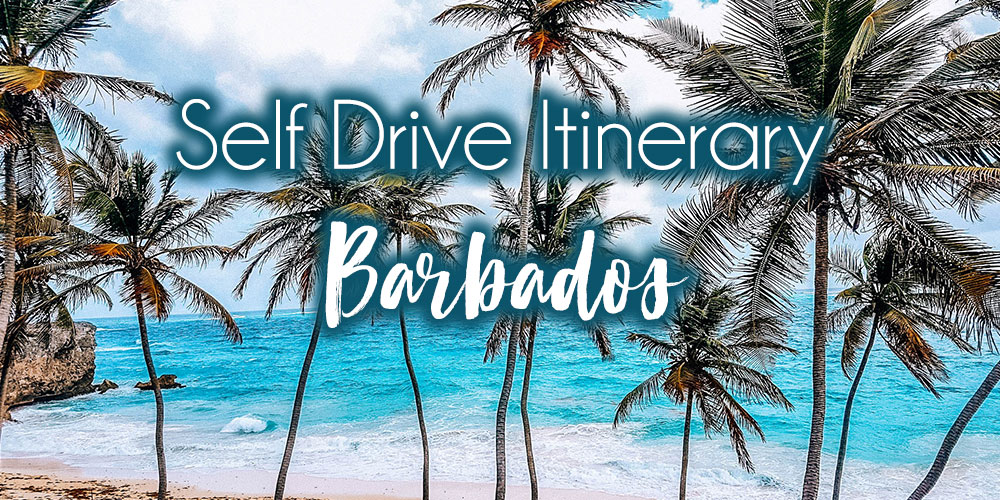 Self Drive Island Tour of Barbados by a Local