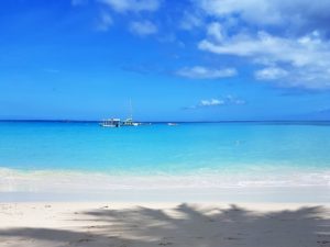 Where to Swim with sea turtles in Barbados