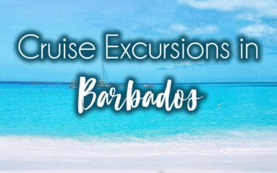 Barbados Excursions: Five Off Beat Itineraries for an Epic Day in Barbados