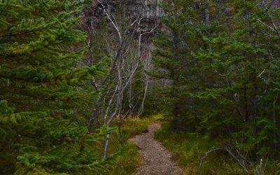 The Best and Most Beautiful Hikes in Iceland
