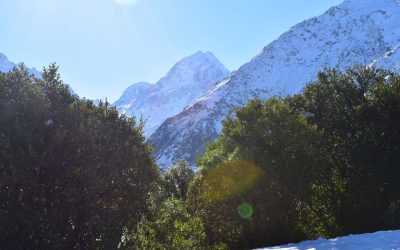 The Ultimate New Zealand Travel Guide — 4 Weeks Around Aotearoa