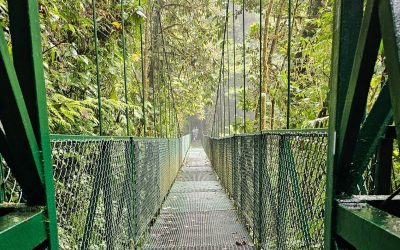 Costa Rica with a Toddler — Pura Vida and Cloud Forests