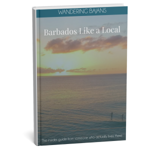 Untitled design (19)