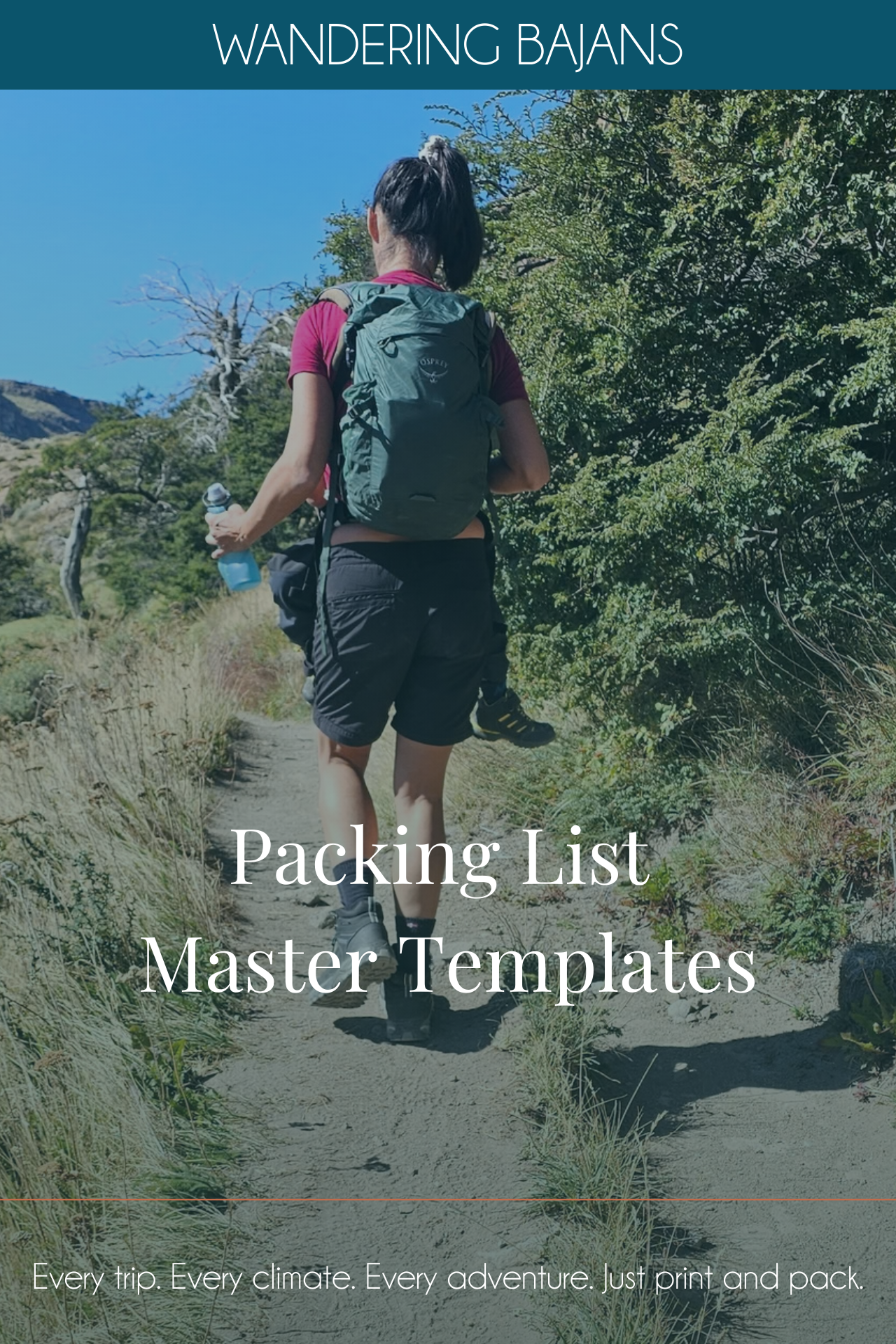 6_20260309_175308_0005